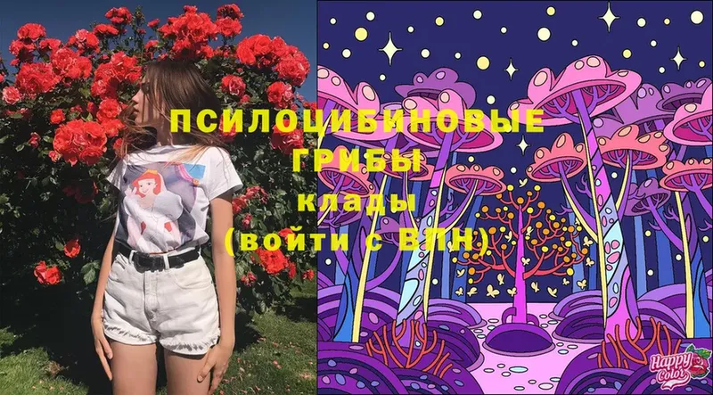 Галлюциногенные грибы Magic Shrooms  Ахтубинск 